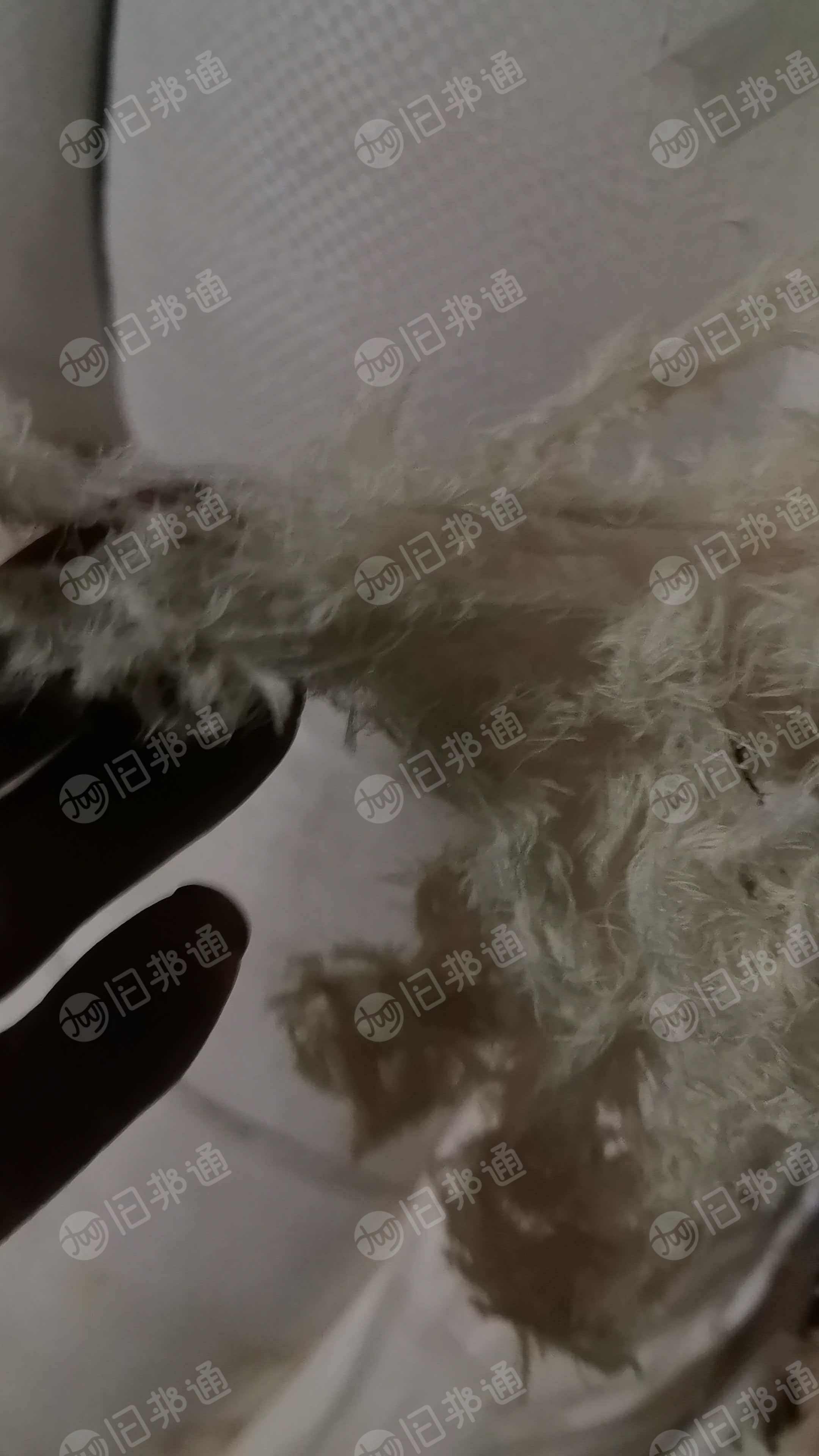 长期出售环锭纺纯棉布边纱，精纺纯棉边，月供100吨