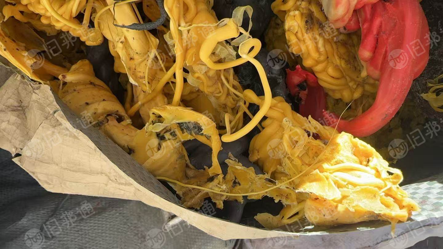 厂家长期出售软质PVC机头料，密封条下来的