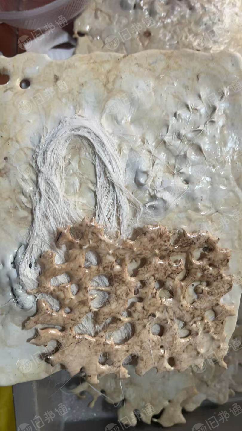 长期出售涤纶膜泡，pet膜泡，现货百来吨，货在河北保定