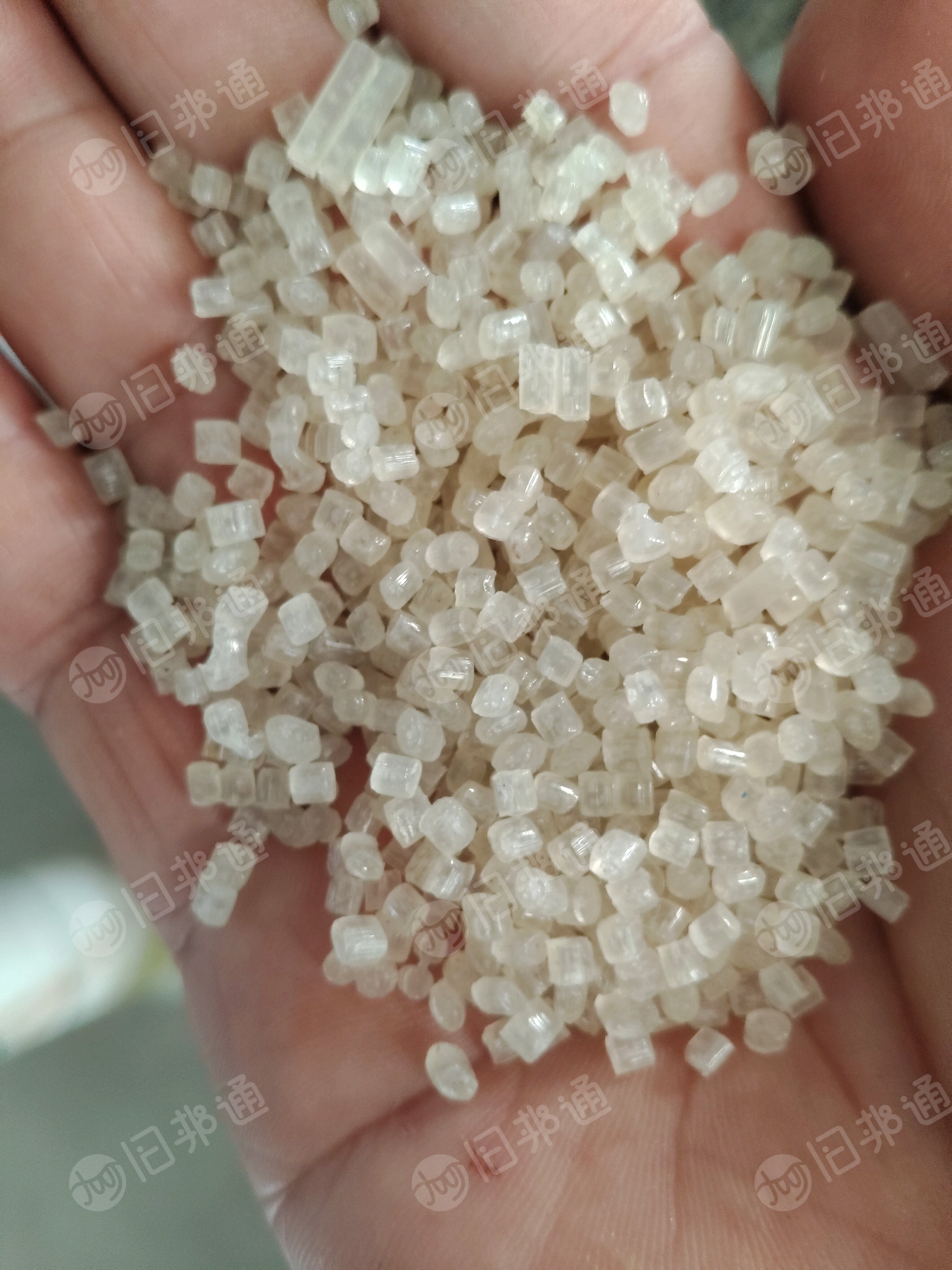 出售纯PP输液瓶颗粒，PP饭盒颗粒，过60两张，80两张，120两张，六层网