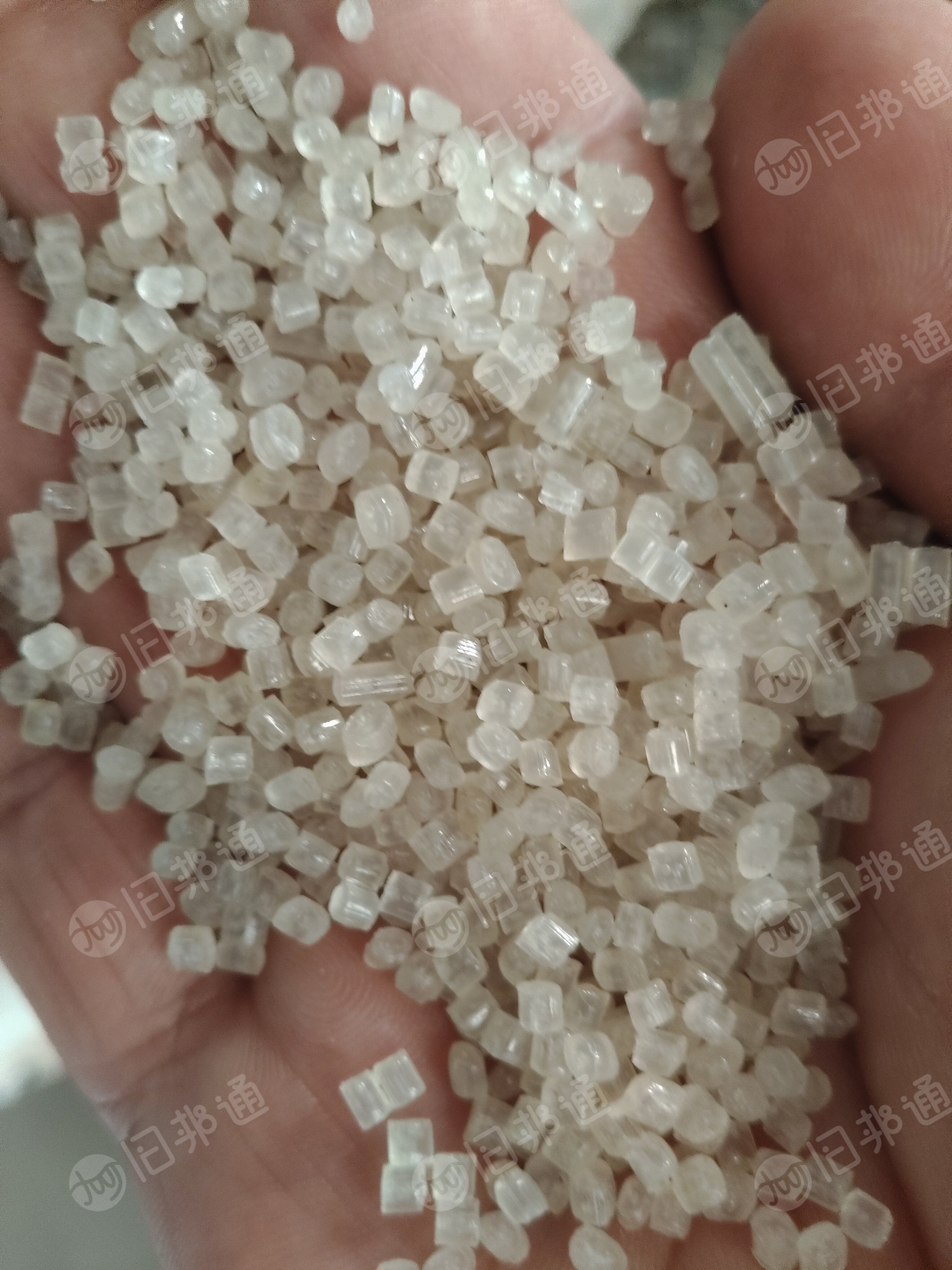 出售纯PP输液瓶颗粒，PP饭盒颗粒，过60两张，80两张，120两张，六层网