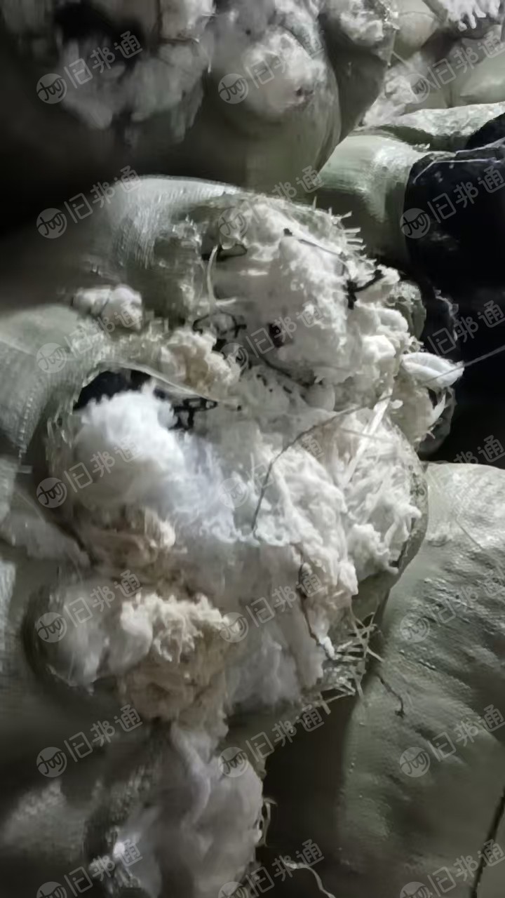 长期出售加弹厂下来的涤纶高弹丝,加弹丝,有分白色跟杂色,货在江苏苏州