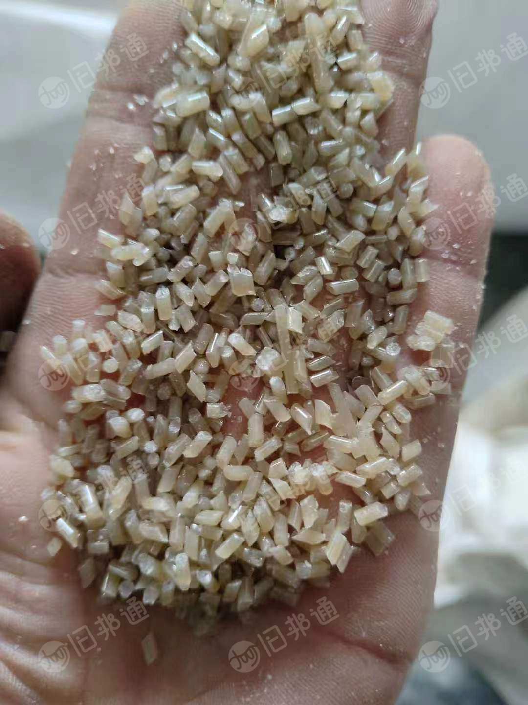eps茶透颗粒，过580目网，现货够车，长期出售