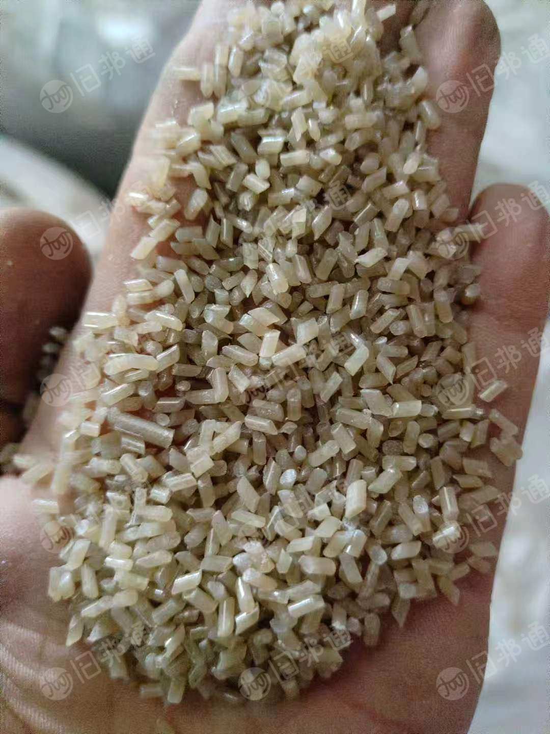 eps茶透颗粒，过580目网，现货够车，长期出售