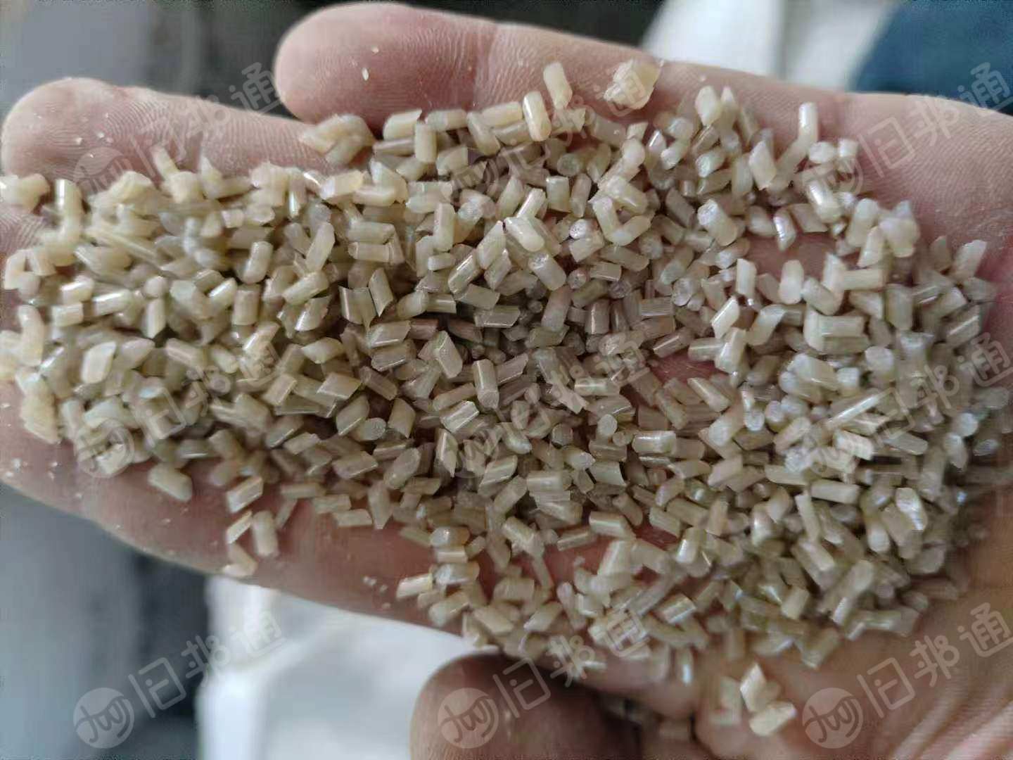 eps茶透颗粒，过580目网，现货够车，长期出售
