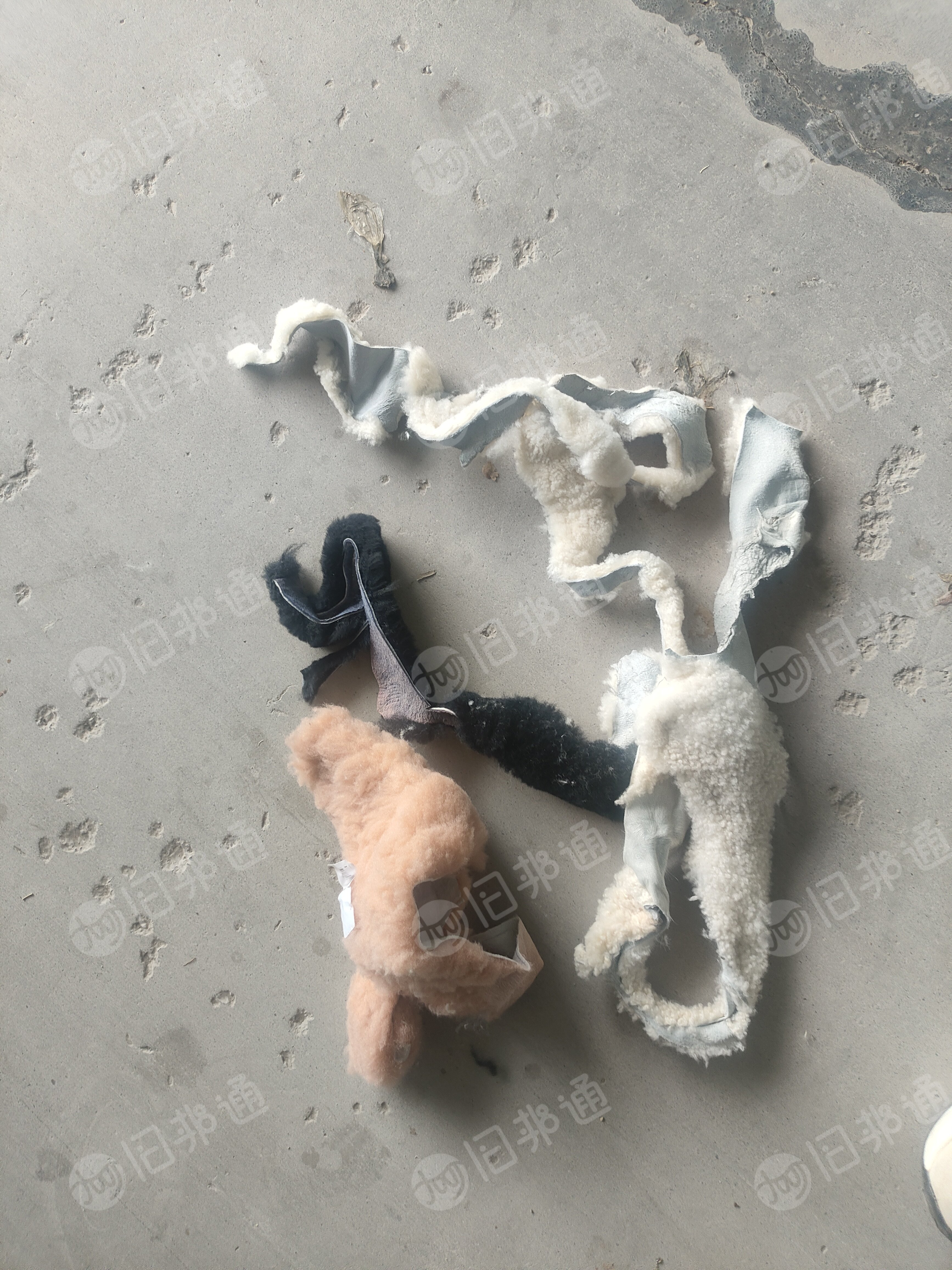 出售做靠背下来的羊毛下脚料,带羊皮,现货10吨,货在河南商丘