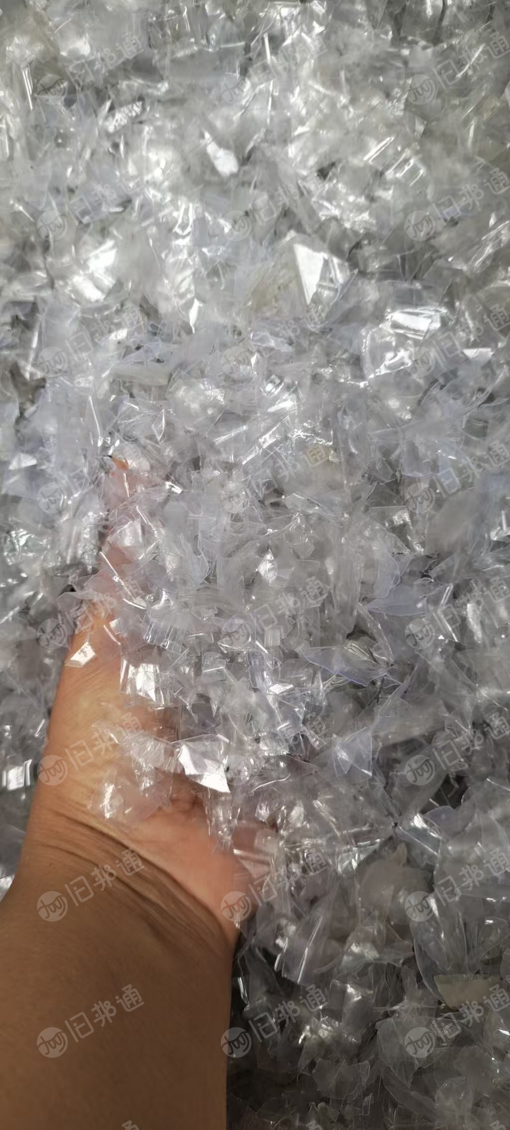 长期出售干粉的pet吸塑盒破碎料，现货10多吨