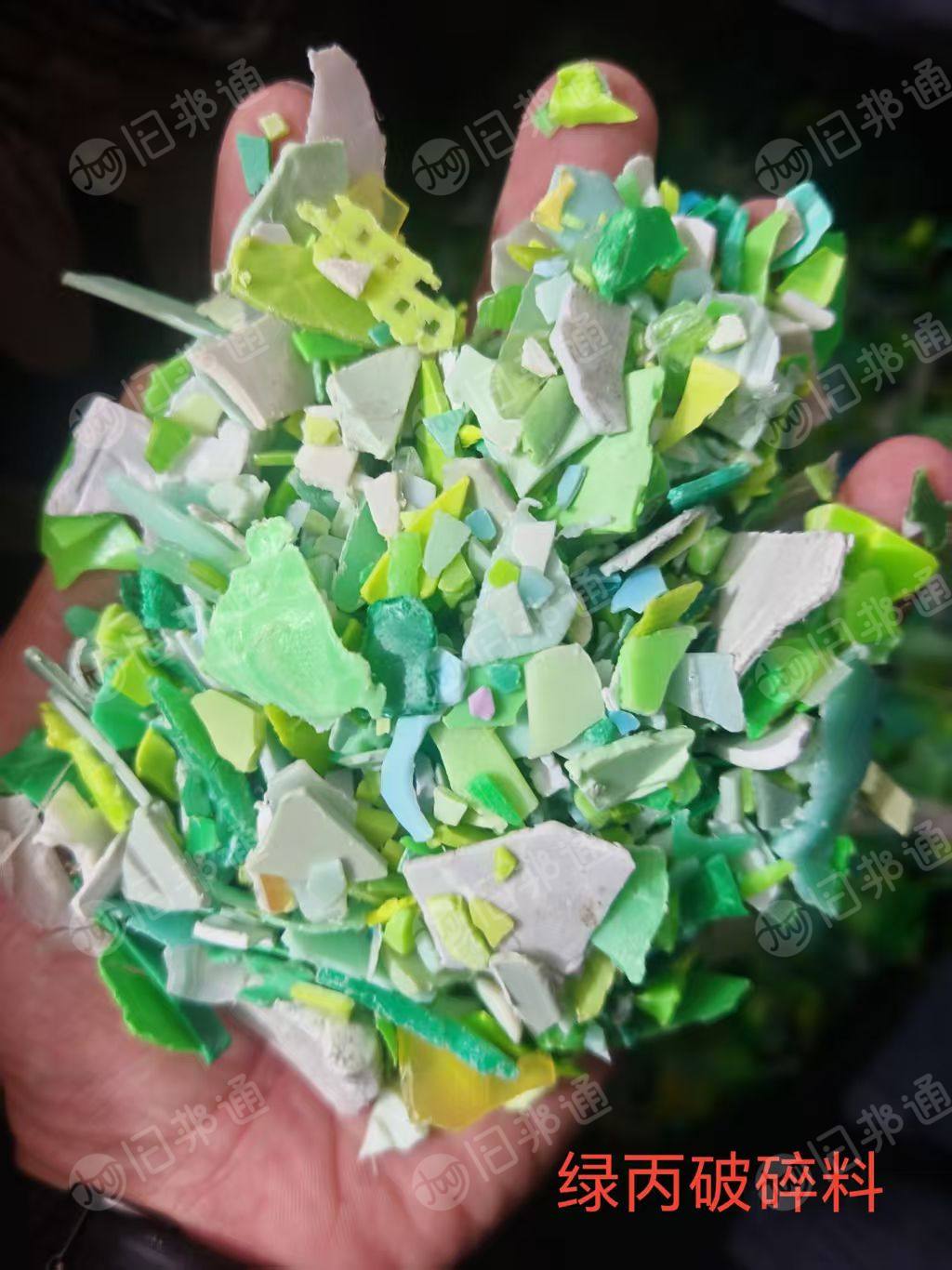 长期出售分色丙破碎料，过12米水池，过风选，过空分，过硅胶