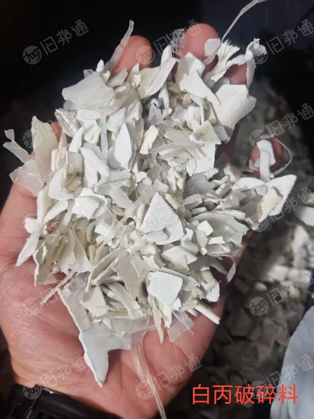 长期出售分色丙破碎料，过12米水池，过风选，过空分，过硅胶