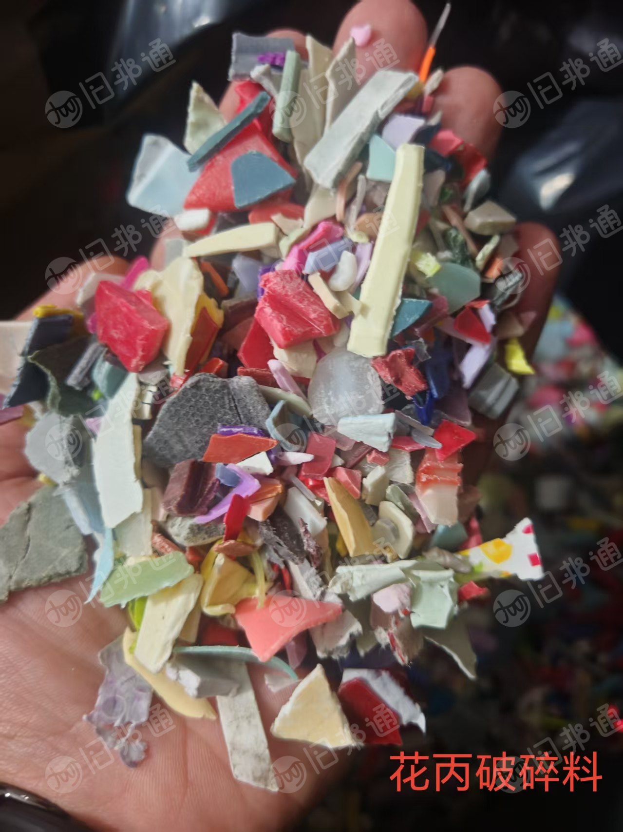 出售PP花丙破碎料，全漂
