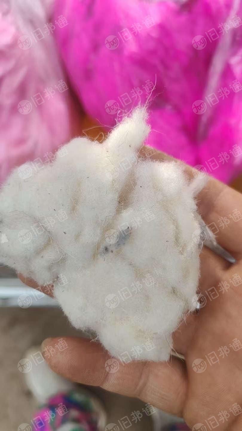 长期求购短白棉,填充棉,做毛毛球的填充料,厂在河北邢台