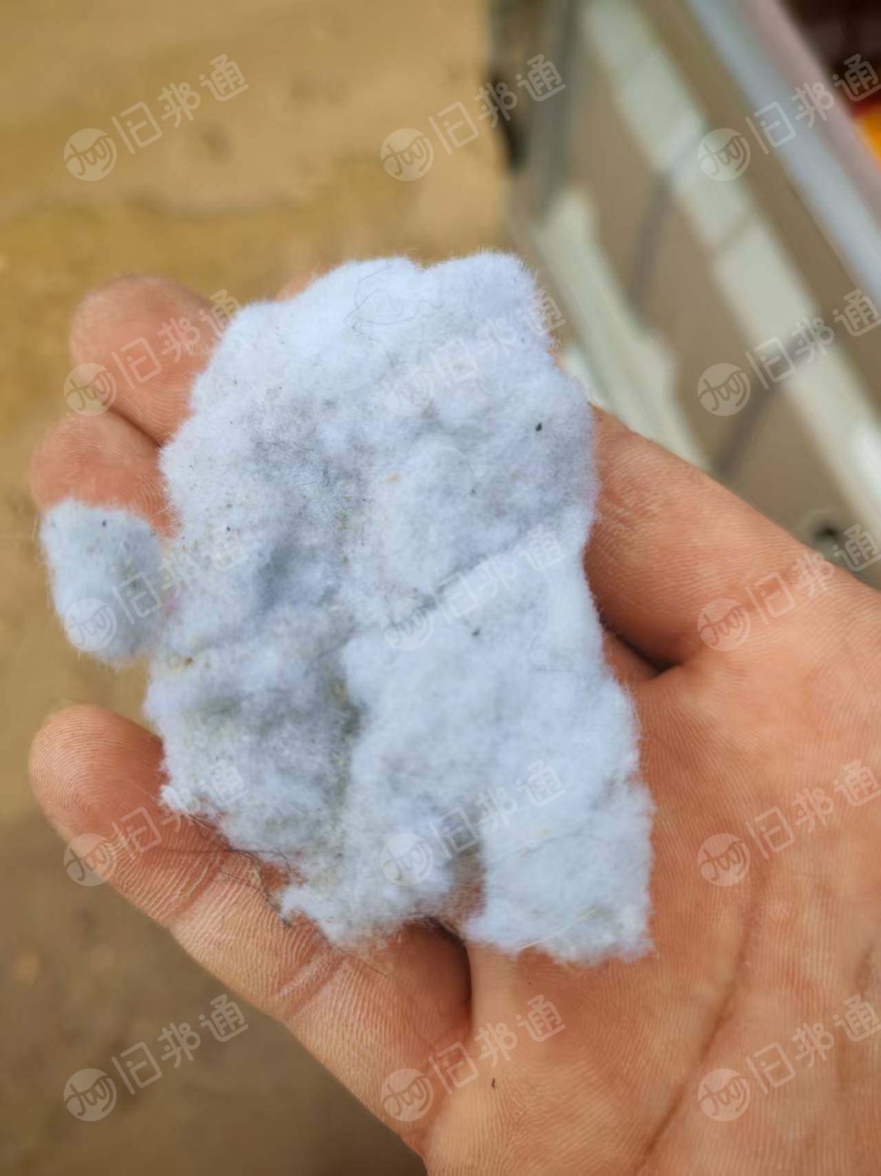 长期求购短白棉,填充棉,做毛毛球的填充料,厂在河北邢台