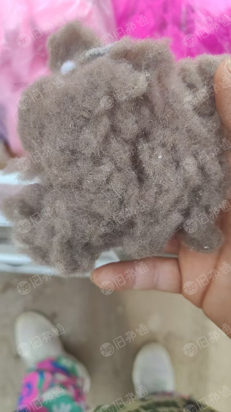 长期求购短白棉，填充棉，做毛毛球的填充料，厂在河北邢台