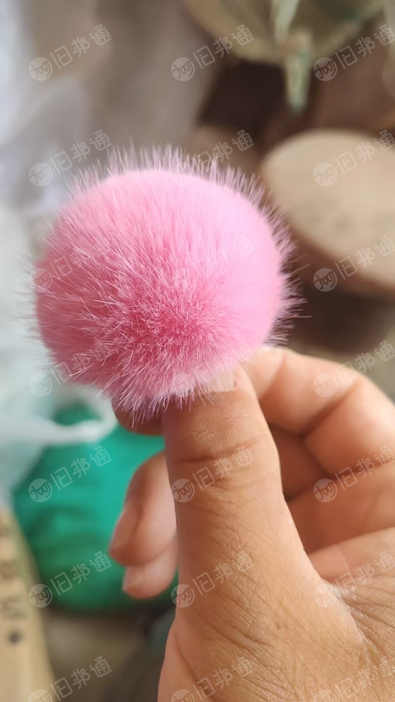 长期求购短白棉,填充棉,做毛毛球的填充料,厂在河北邢台