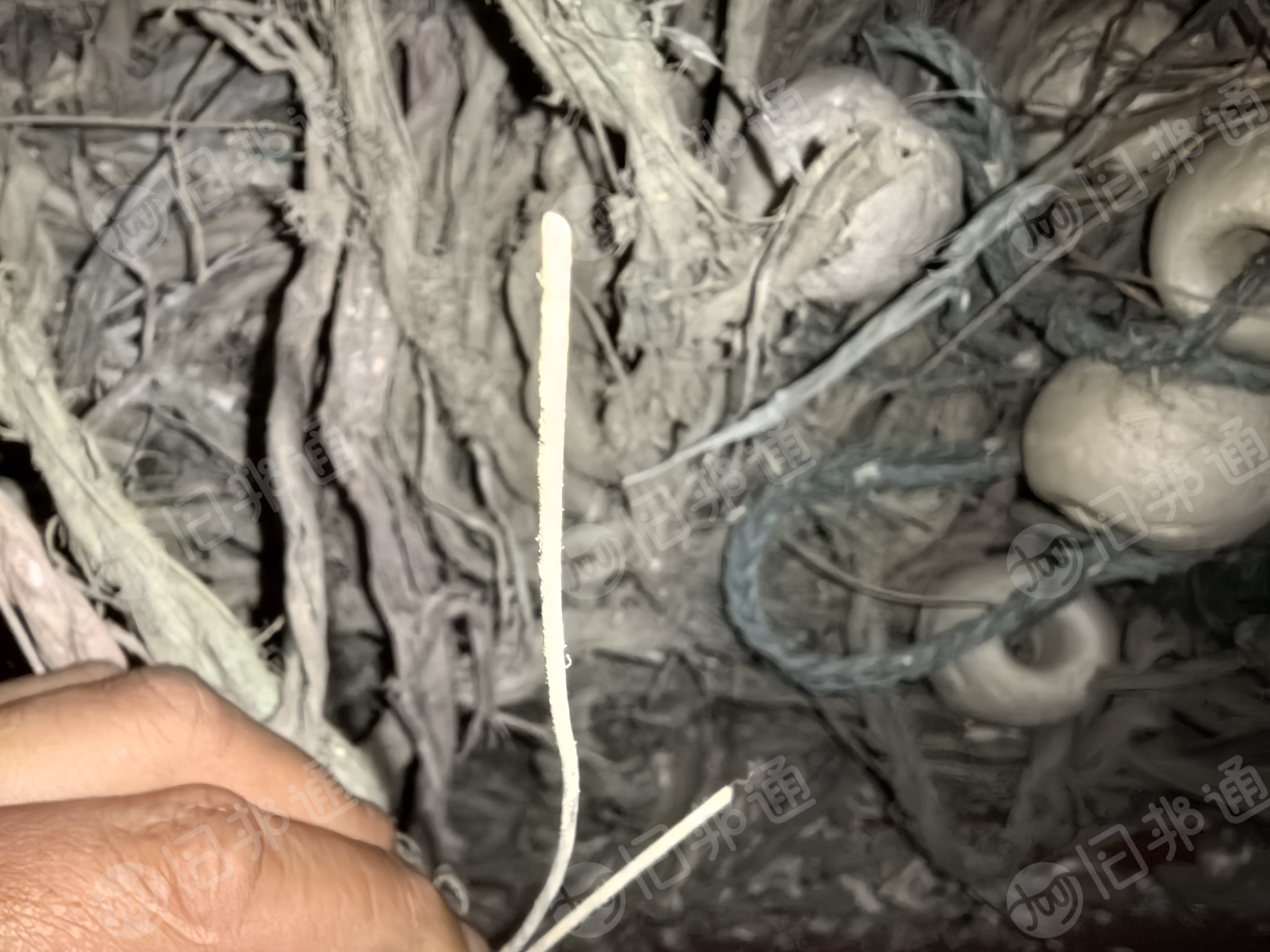 出售废旧缆绳，绳子，可以做燃烧用，现货两百吨，货在河南新乡