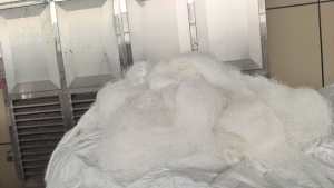 长期出售化纤厂下来的尼龙单6废丝，前纺丝，有半光丝跟消光丝都有分拣开，厂在浙江杭州