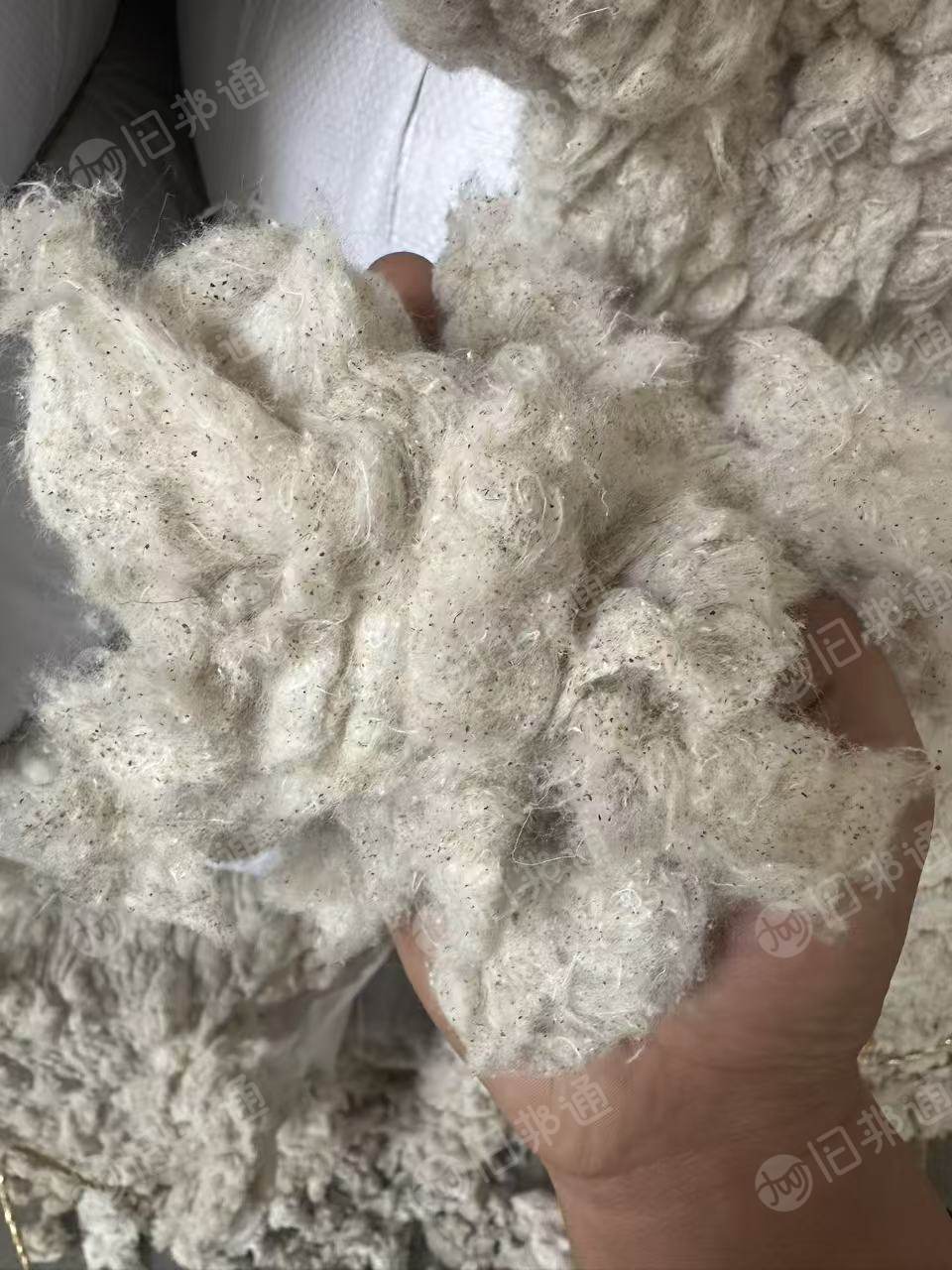 出售气流纺下来的涤棉鱼籽棉,含棉95左右,现货200吨左右,货在山东淄博
