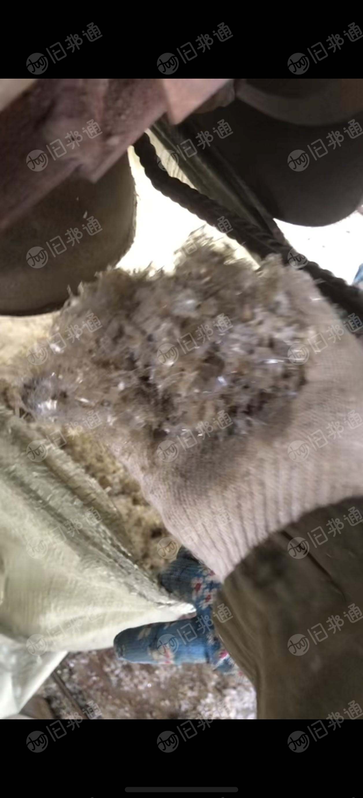 出售中性PVC秧盘破碎料，每天5吨，现货二三十吨