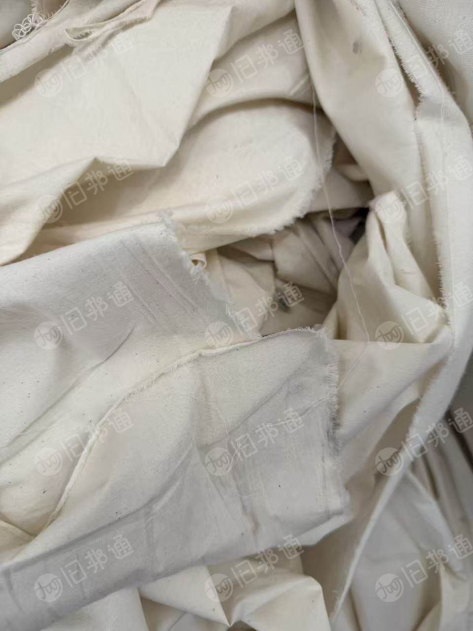 出售米黄色纯棉梭织布，织布厂原棉，百分百纯棉不含氨纶，可以开花。