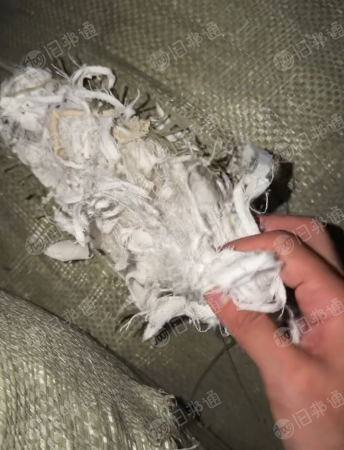 长期出售涤棉碎布，涤棉口袋布，涤棉废布，含棉30左右，都有分拣开的，在广东广州。