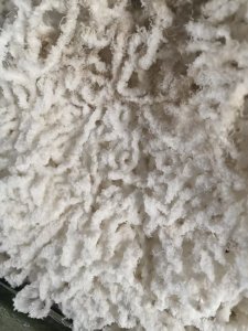 长期涤纶水丝，涤纶废丝，含水20-30，每天出9.6米一车，货在安徽宣城