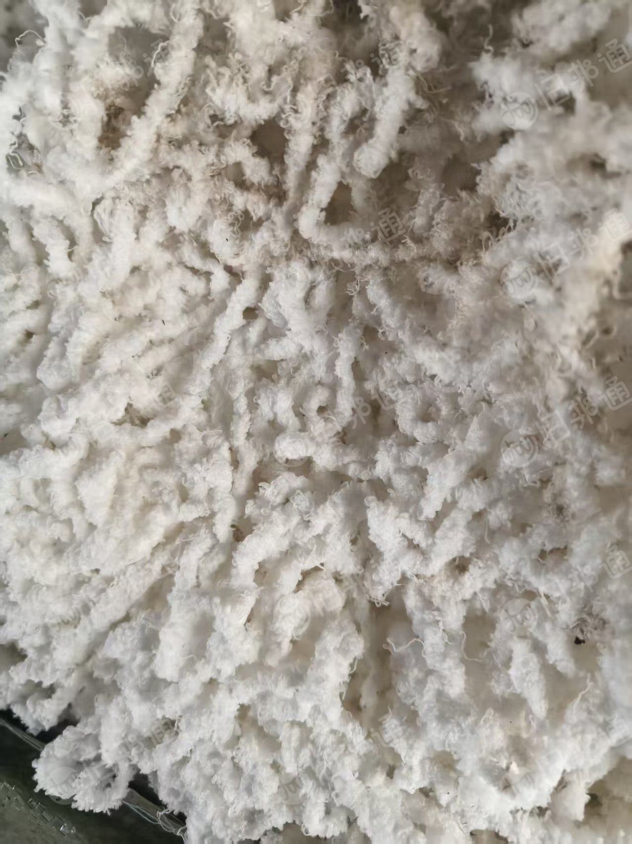 长期涤纶水丝，涤纶废丝，含水20-30，每天出9.6米一车，货在安徽宣城
