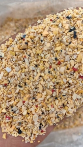 长期出售PVC植布破碎料，可用于造粒和圣诞树制品上面