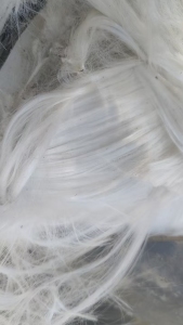 长期出售从管子里拔出来的涤纶丝，涤纶废丝，现货7吨，货在山东滨州