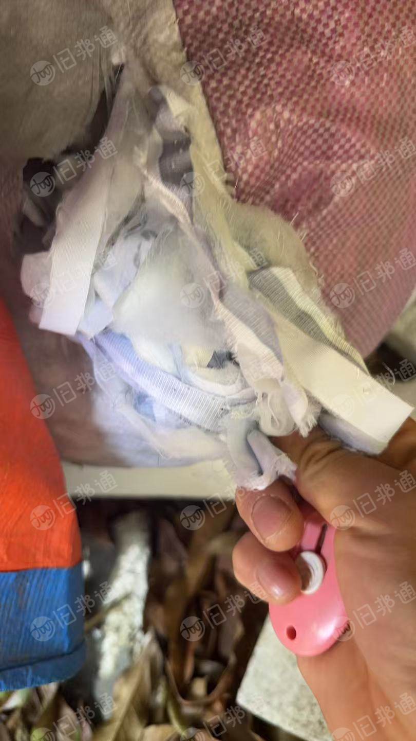 长期出售浅色夏凉被下脚料,夹丝棉边角料,两边布是纯棉的,在江苏南通