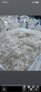 长期出售pp餐盒破碎料，冷洗，月供150吨