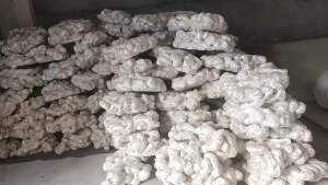 长期出售eps热熔块，现货五吨，每个月都有