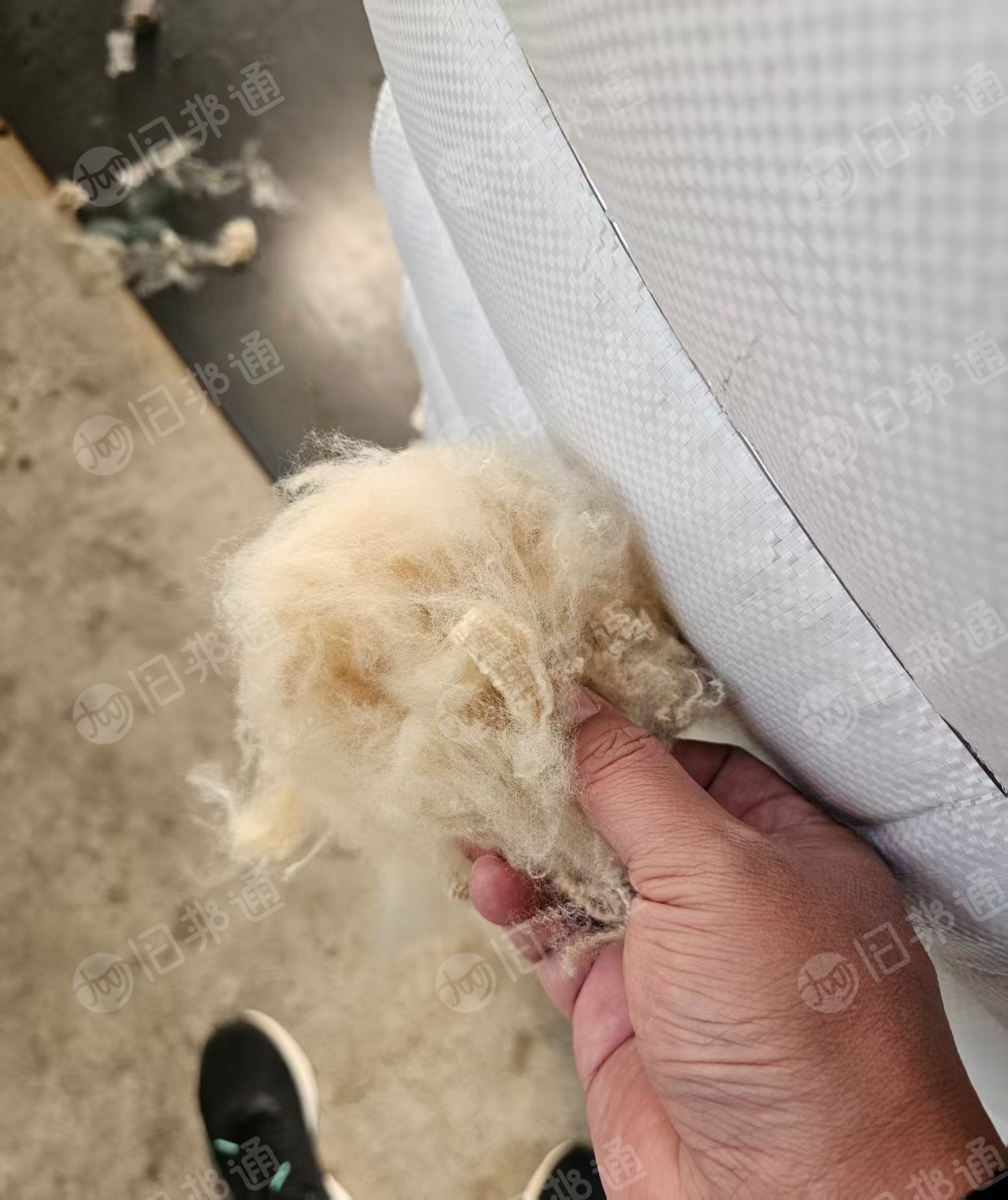 化纤厂长期出售米白色涤氨短纤维，涤氨短纤，4.5*65mm，也有黑色，绿色，驼色的，在山东济南