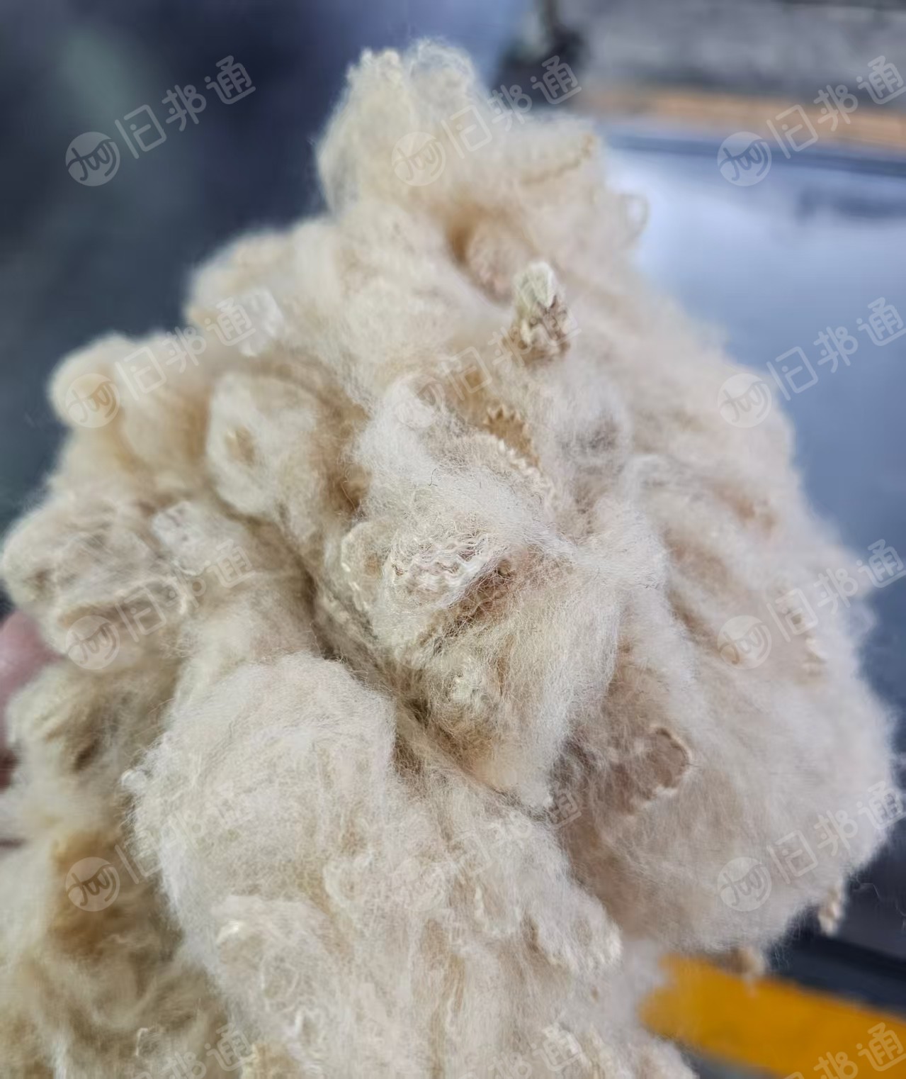 化纤厂长期出售米白色涤氨短纤维，涤氨短纤，4.5*65mm，也有黑色，绿色，驼色的，在山东济南