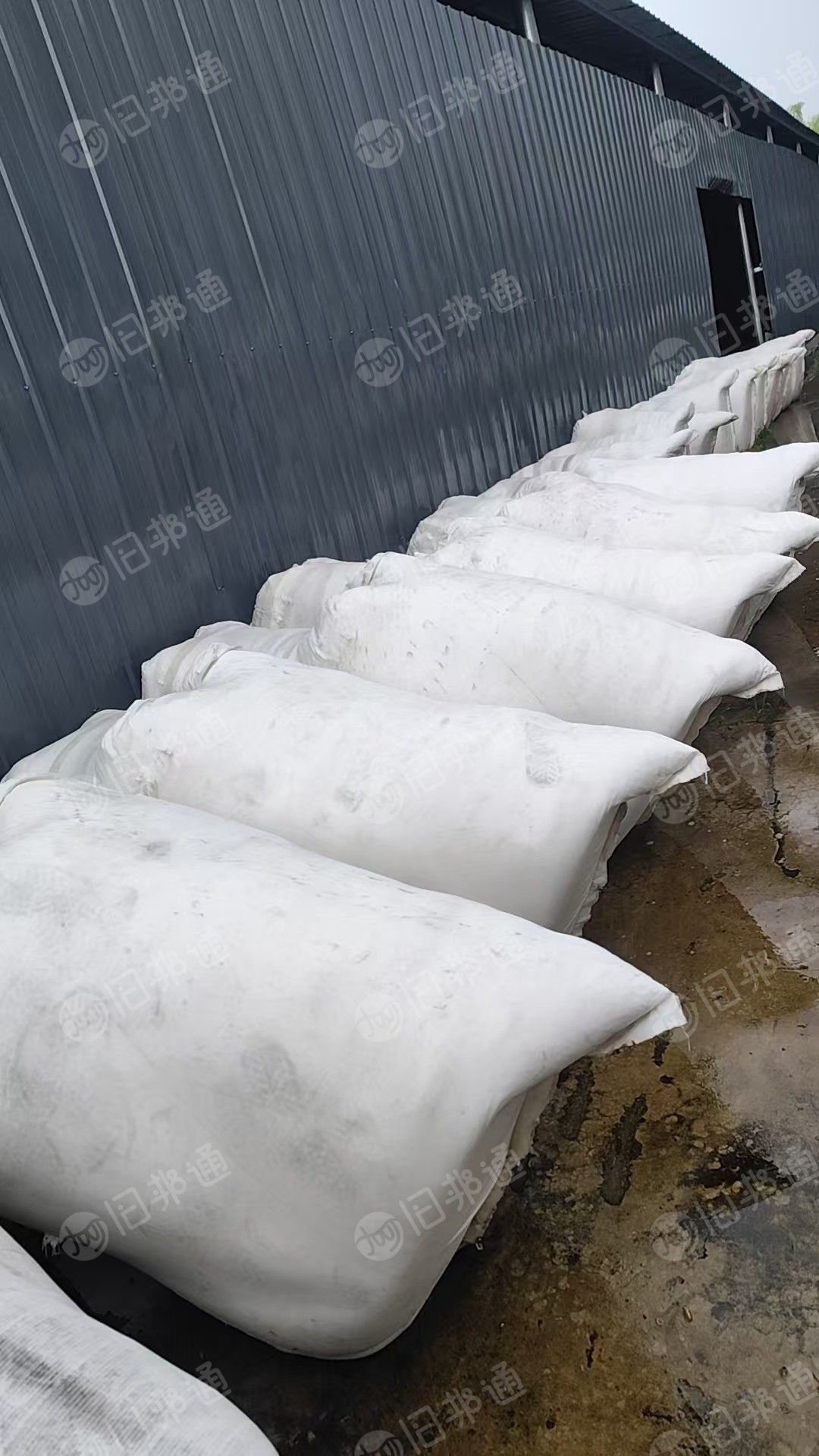长期出售涤锦水丝，涤氨水丝，适合开花用，现货40吨，在安徽池州