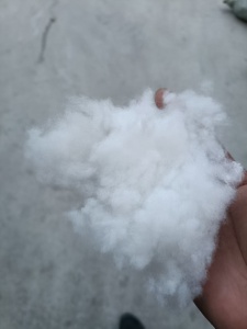长期出售珍珠棉开松棉，开花棉，大白棉，可做填充