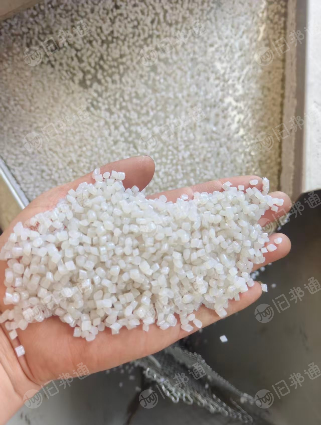 出售EPE珍珠棉颗粒，大白珍珠棉颗粒，过80目