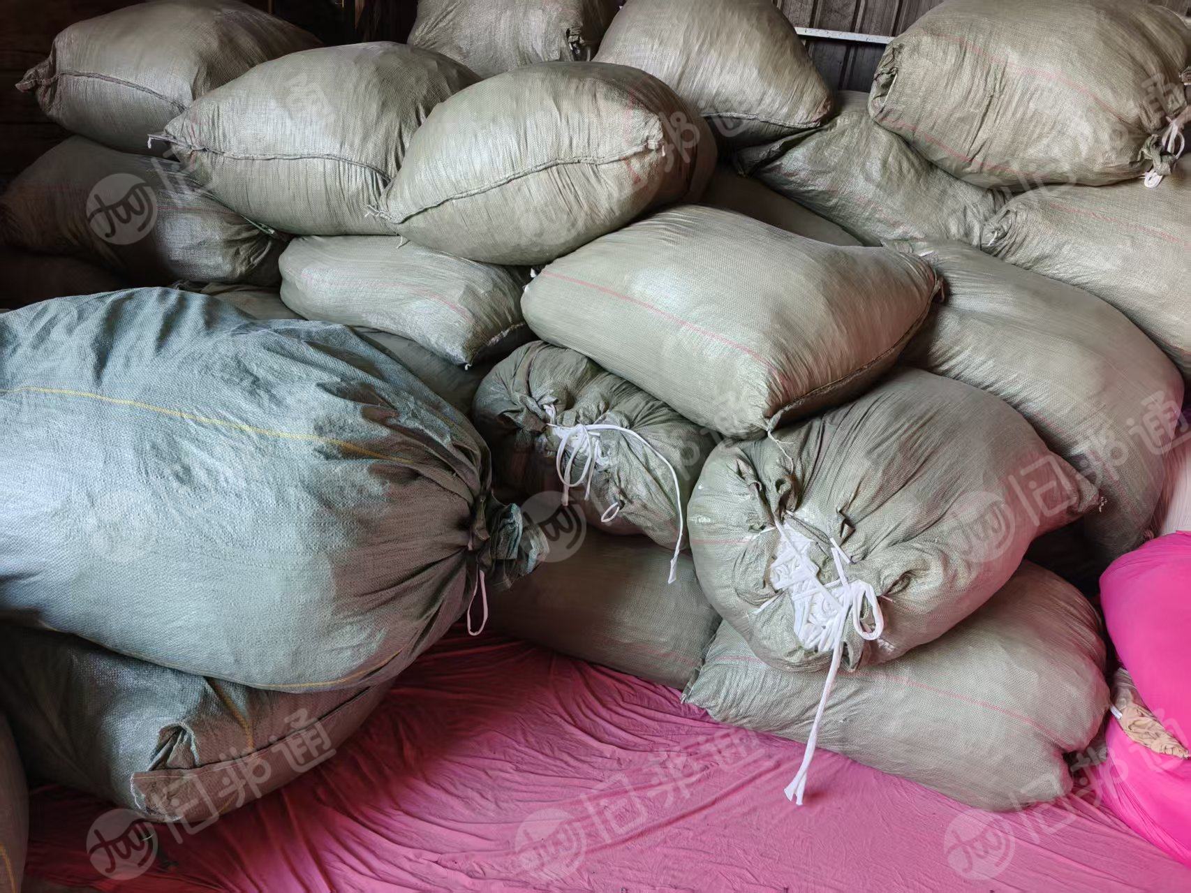 长期出售牛奶丝，涤氨废布，氨纶含量5%左右，有分颜色，月供40-50吨，货在福建漳州
