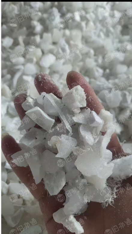 大量求购一次性奶白PP破碎水口料