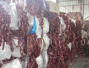 工厂直销废隔离膜，轮胎膜，高压膜，PE膜