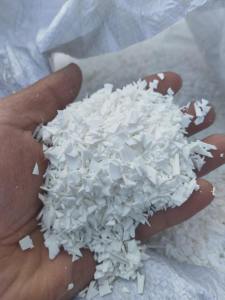 长期出售无填充的pp均聚破碎料，现货够两挂车