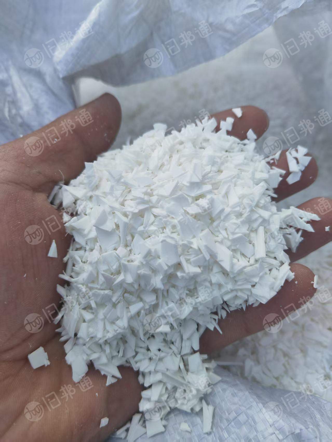 长期出售无填充的pp均聚破碎料，现货够两挂车