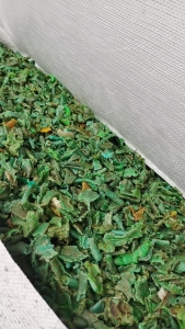 长期出售电镀PE挂具胶破碎料，现货60吨