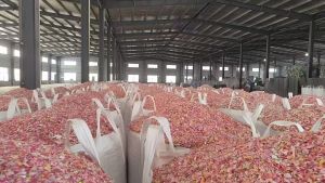 出售红丙破碎料，上机红丙破碎料