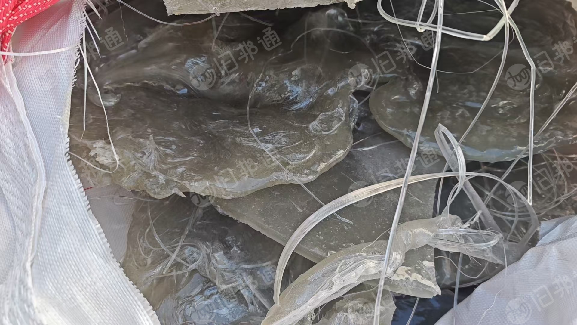 长期出售pet机头料