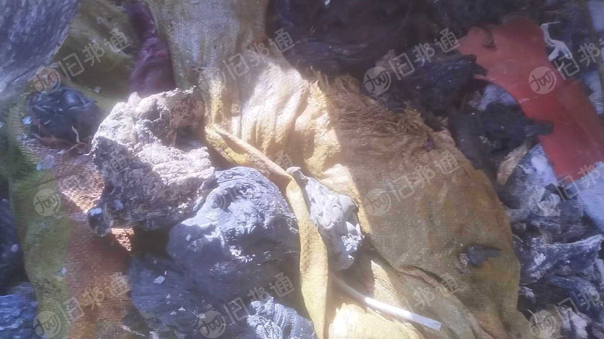出售PVC地毯料，纯PVC的；另外还有PVC机头料，社会门帘料，现货10吨