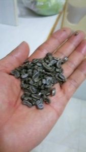出售杂膜颗粒，过60目，现货10吨
