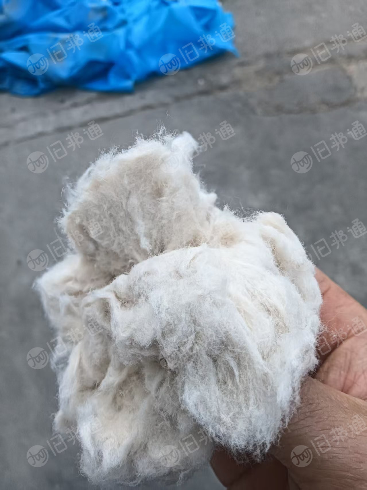 长期出售环锭纺下来的纯棉粉尘，棉短绒，货在山东菏泽