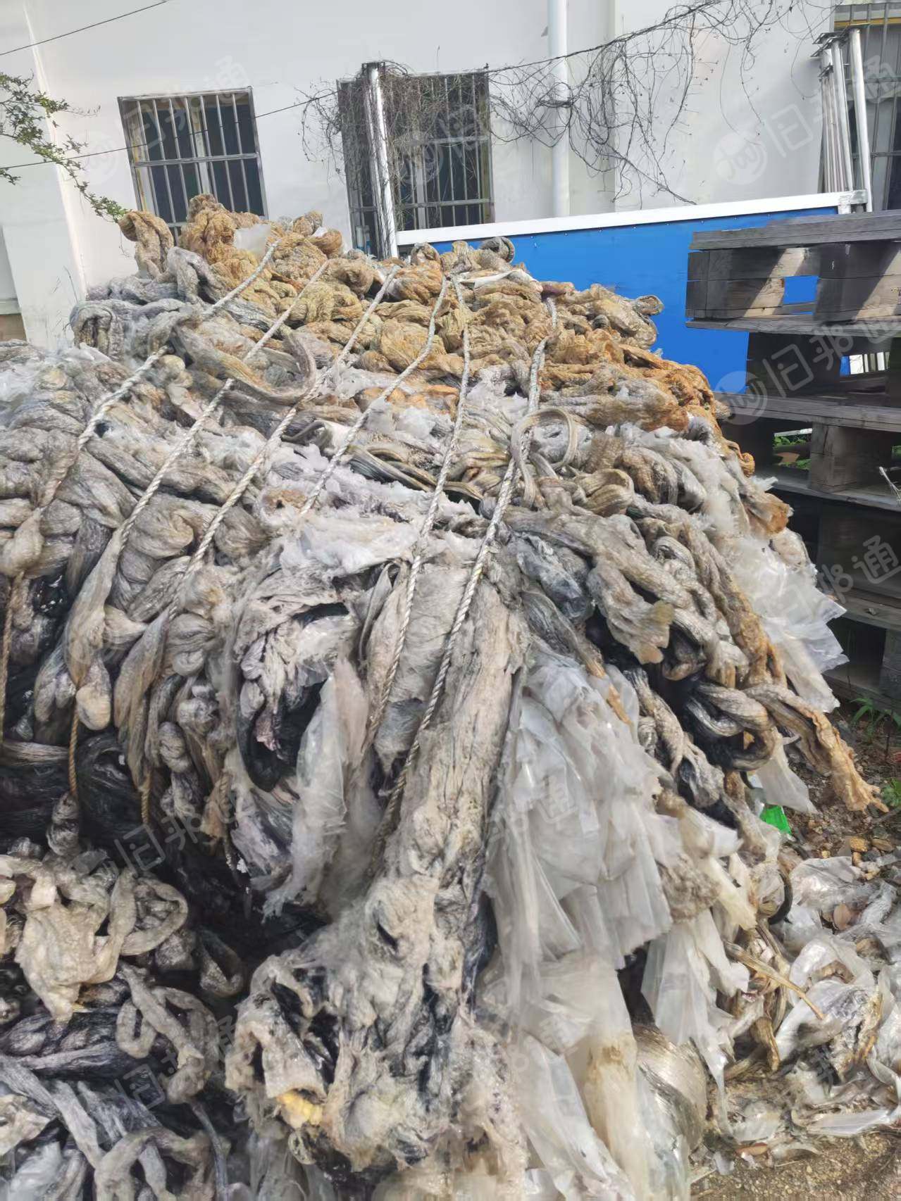 出售pet废膜，手机厂做屏幕下来的料，现货50吨