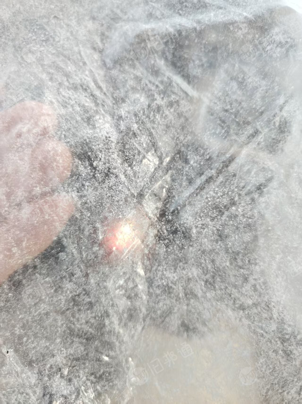长期出售集装箱液袋，含油，年供300吨