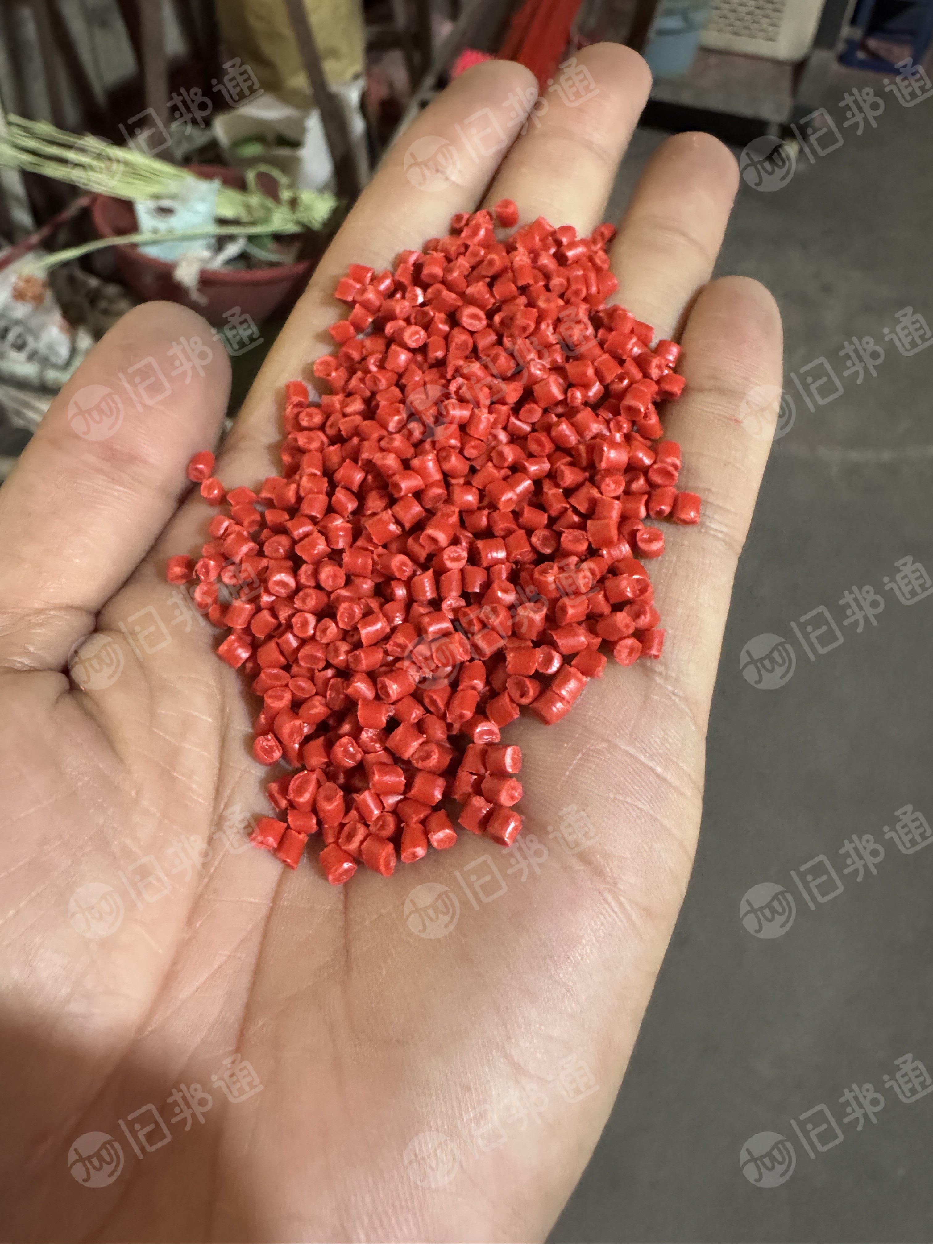 出售红色PP再生料注塑颗粒红色聚丙烯